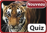 Quiz Regards sur l'Inde