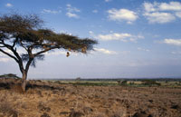 exposition itinérante – expo Afrique