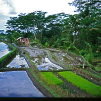 exposition itinérante – expo Indonésie – expo Bali